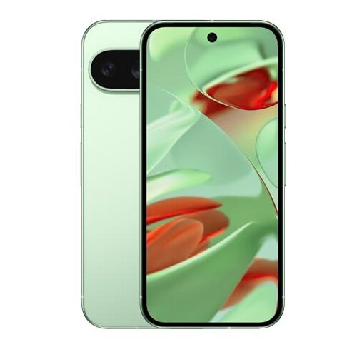 Google Pixel 9 16 cm (6.3), 12 GB, 256 GB, 50 MP, Android 14, Wintergreen Slike