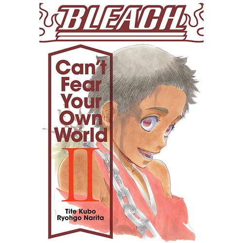 VIZ Media Ryohgo Narita - Bleach: Cant Fear Your Own World, Vol. 2 Cene