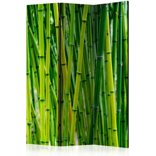 Artgeist PARAVAN 135/172/3 cm svetlo zelena Cene