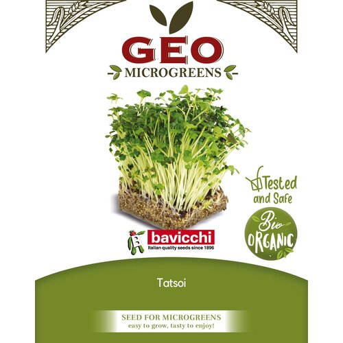 Bavicchi Bio kalčki "Tatsoi" - 200 g Cene