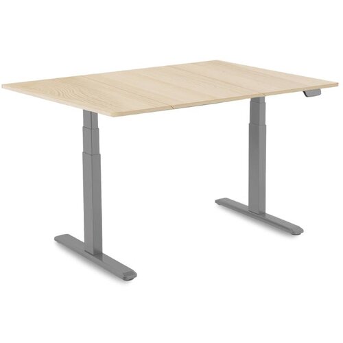 Ipotools Podesivi radni stol IPOHOME PREMIUM PLUS Siva - Prirodno drvo - 160x80cm Cijene