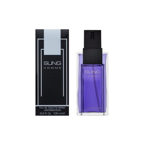 Alfred Sung Sung Homme toaletna voda 100 ml za mo&amp;scaron;ke Slike