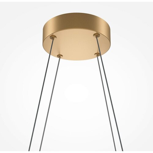 MAYTONI MOD244PL-L50BSK - LED luster na sajli HALO LED/40W/230V, zlatna Slike