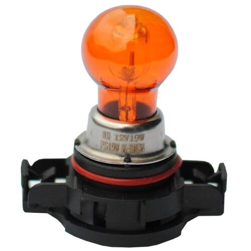 Mtech Sijalica PSY19W PG20-2, 12 V, Žuta Cene