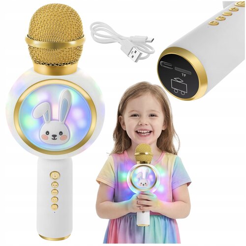  Usb baterija. 800mah bluetooth 5.1 sd karaoke mikrofon sa zvučnikom rgb led rabbit white Cijene
