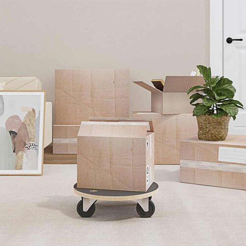  Transportna kolica 6 pcs Siva &Scaron;perploča - &Oslash; 38 x 11.5 cm 6 Cijene