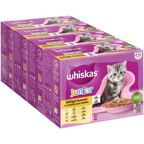 Whiskas Ekonomično pakiranje Junior vrećice 48 x 85 / 100 g - Izbor peradi u umaku (85 g / vrećica) Slike