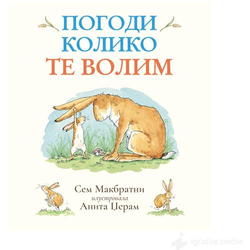 Publik Praktikum Pogodi koliko te volim - Sem Makbratni Cene