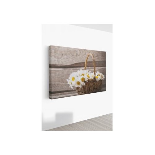 WALLXPERT Dekorativna slika Ersyfdc19 50 x 70 Cene