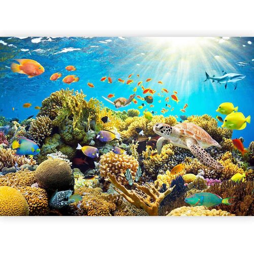 Artgeist Fototapeta Underwater Land, 150x105cm Cene