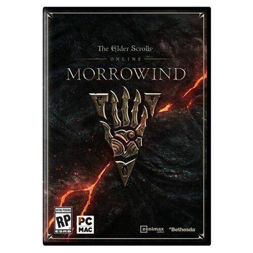 Bethesda PC igra The Elder Scrolls Online: Morrowind Slike