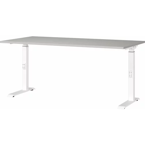 Germania Pisalna miza z nastavljivo višino 80x160 cm Downey –