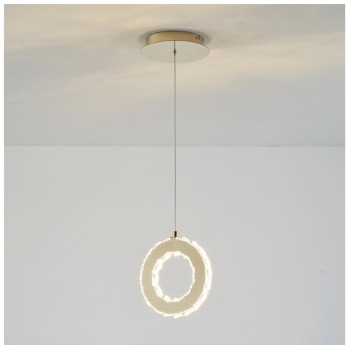 Zuma line MD3713-1-3GT - LED prigu&amp;scaron;iva luster na sajli GIRONA LED/10W/230V zlatna Slike
