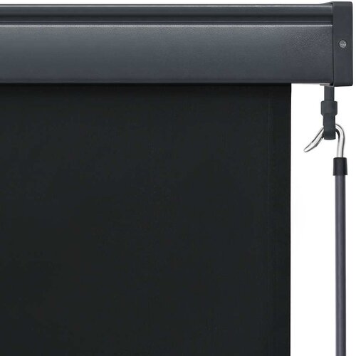  Vanjska roleta 100 x 250 cm antracit Slike