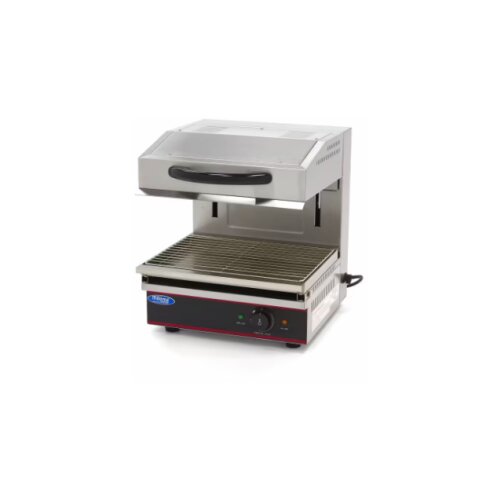 Salamander 44 x 32cm Slike