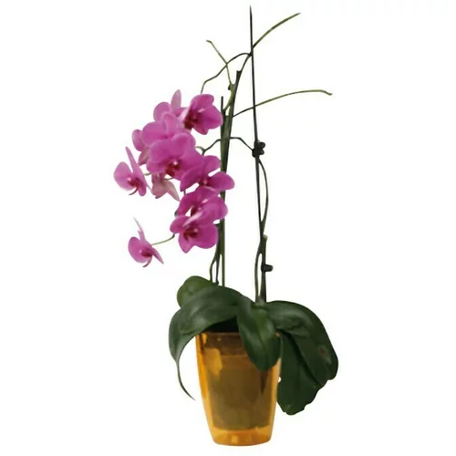  Tegla za orhideju (Plastika, Narančaste boje)