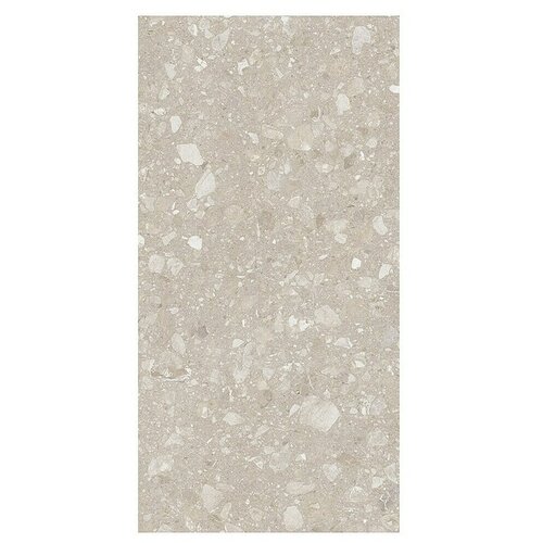  Kamena podna pločica Terra Beige Sugar (120 x 60 cm, Bež, Mat) Cijene