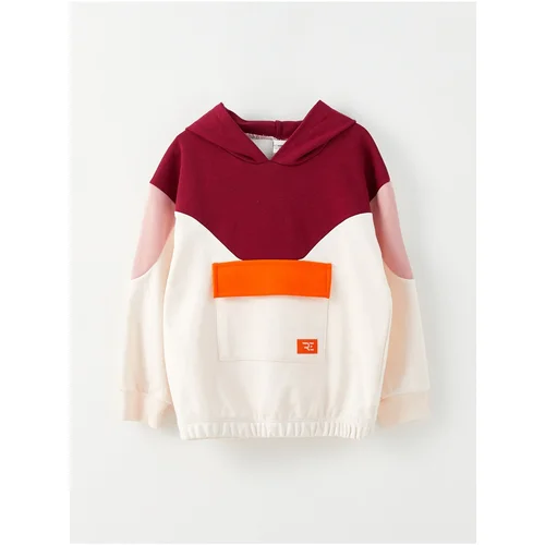 LC Waikiki Girls' Hoodie Color Block Long Sleeve Sweatshirt with Color Block