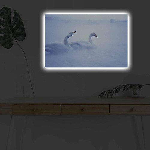 Wallity Zidna slika sa LED osvetljenjem 4570DHDACT-178, 45x70 cm Cene