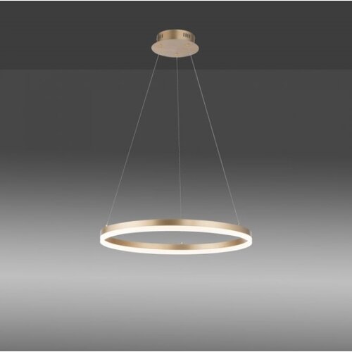 PAUL NEUHAUS 2382-60 - led prigu&amp;scaron;iva luster na sajli titus LED/38,5W/230V Slike