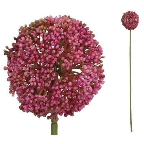  CVIJET ALLIUM 60CM FUKSIJA PVC Slike