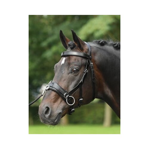 Busse Cavesson FIT-PRO Cene