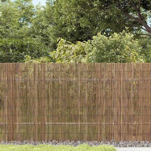 vidaXL Vrtna ograda 1000x80 cm od trske