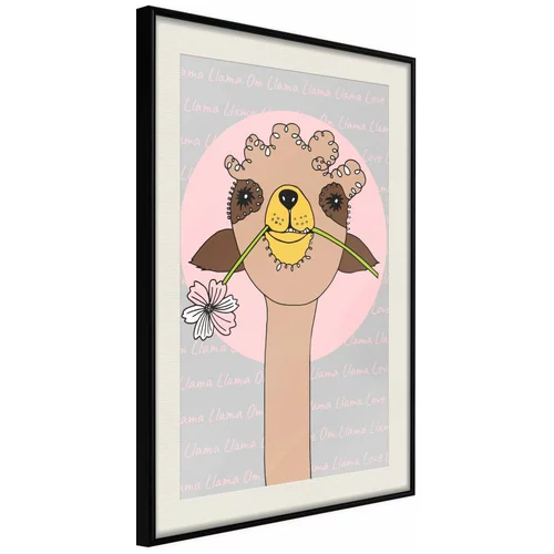  Poster - Cute Llama 40x60