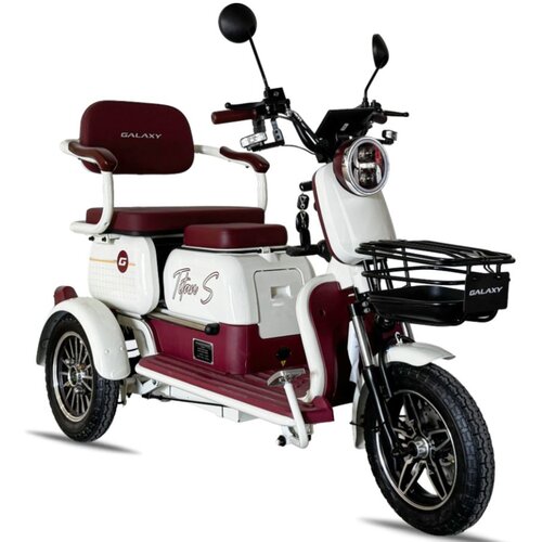  Električni tricikl TITAN S 650 W HANIU HN650DZK-B (H9S) crvena Cene