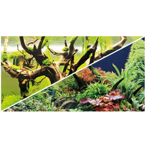 Dohse Hobby poster dvostrani Green Secret/Wood Island 60x30 cm Cene