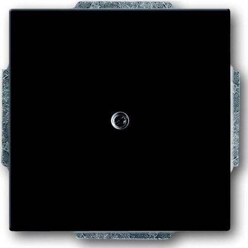 Busch-Jaeger Centralni disk anth slepi pokrov s podpornim obročem 1742-81, (20858353) Cene