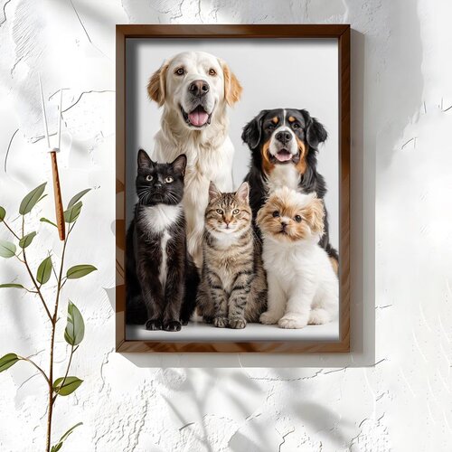 Wallxpert uramljena MDF slika NAL042-46, dva psa i tri mačke, portret kućnih ljubimaca, 35,5 x 47 cm Cene