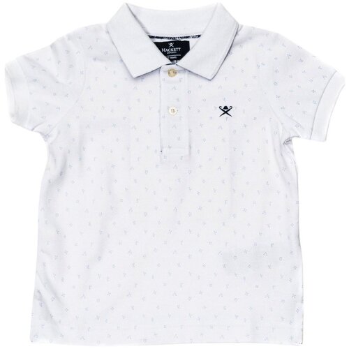 Hackett Polo majice kratki rokavi HK560958-8AS Večbarvna Slike