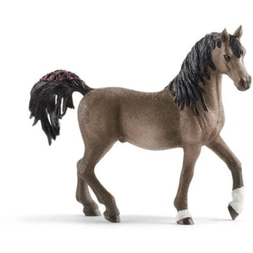 Olimp Sport Arabian pastuv Cene