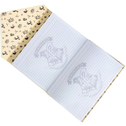 Blue Sky Designs Ltd - Agenda - Harry Potter Envelope Cene