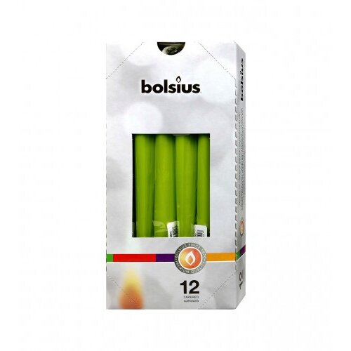 Bolsius Svijeća duga 2/1 M55721 Cijene
