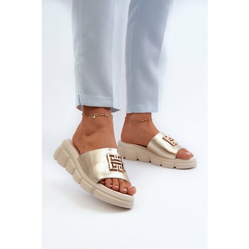 Kesi Women's leather slippers with gold trim on Vinceza Gold wedges Cene