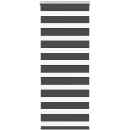 vidaXL idaXL Zebra senčilo črna 65x150 cm tkanina širina 60,9 cm poliester Cene