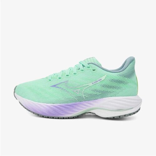 Mizuno Wave rider 28 Cene