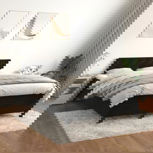 vidaXL Box spring krevet s madracem crni 120 x 200 cm baršunasti Cijene