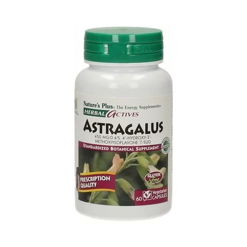 Herbal aktiv astragalus - tragant