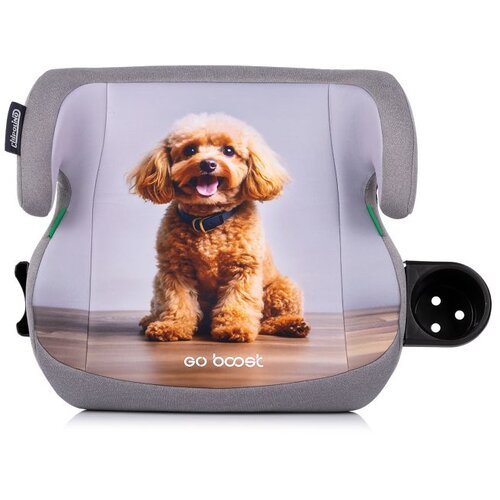 Chipolino autosjedalica I-SIZE GO BOOST 125&amp;ndash;150 cm Poodle Slike