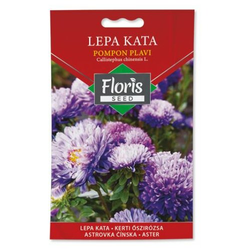 Floris seme cveće-lepa kata pompon plava 05g FL Slike