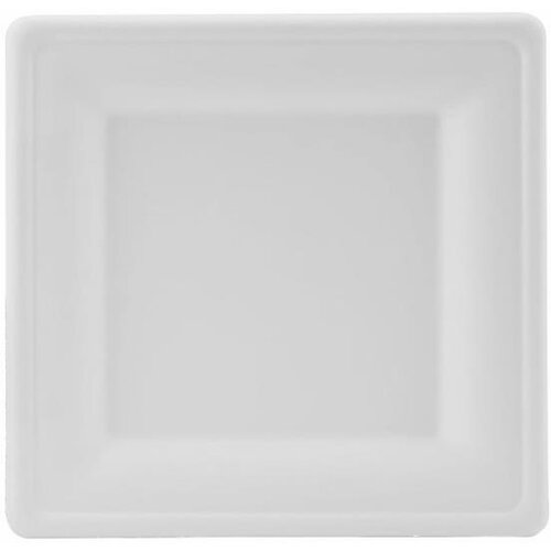 EURONOVA Eko krožnik kvadraten / 16x16cm / 50kos, (21364683) Slike