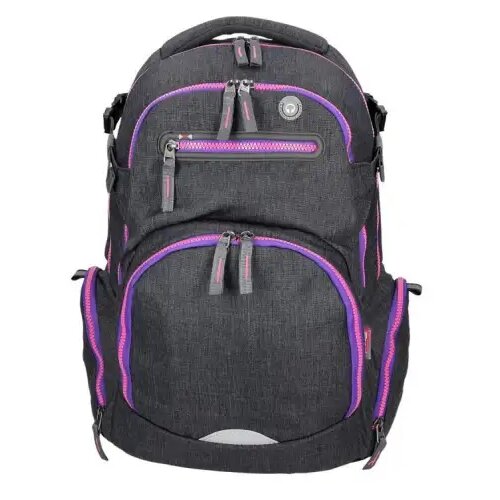 Spirit stinger tamno sivo-ljubičasta vrhunska ergonomska školska torba ruksak 26x32x44cm Cene