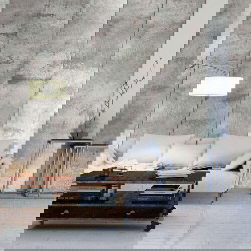  Tapeta - Gray pigeon 50x1000 Slike