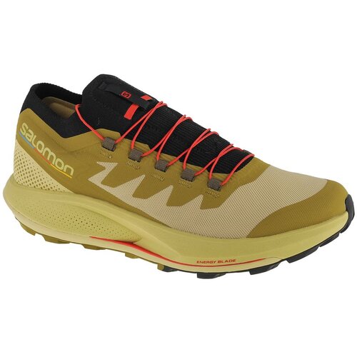 Salomon Pohodništvo Pulsar Trailpro pisana Cene