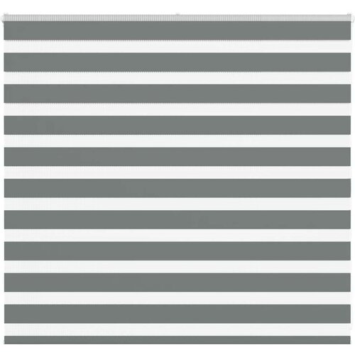 vidaXL Zebra senčilo temno sivo 155x100 cm tkanina širina 150,9 cm Cene