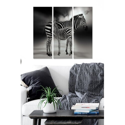 Wallity Set slika MDF847542, 3 dijela Cene