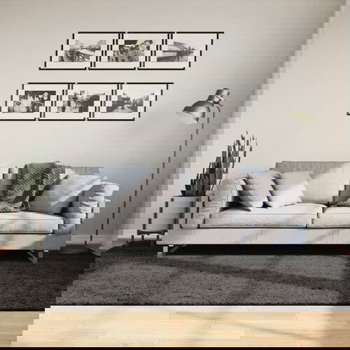 vidaXL Tepih ISTAN visokih vlakana sjajni izgled antracit 160 x 230 cm Cijene